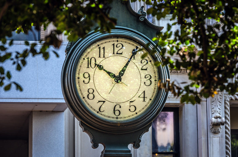 Clock surrounded by tree branches. Time is 10.05